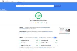 wordpress schneller machen